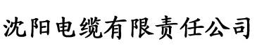 香蕉片怎么炸又酥又脆电缆厂logo